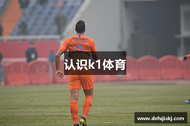 认识k1体育